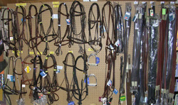 horse bridles